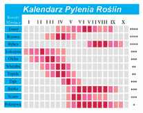 Kalendarz pyle�